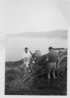 AX391