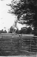 AX414