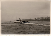 AX448