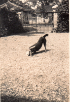 BH883