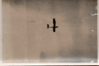 BI461