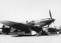 BK117