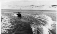 BK739