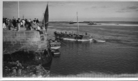 BN778