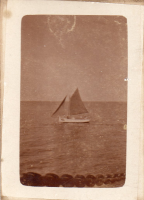 BN833
