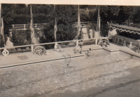 BN878