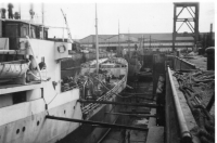 BO113