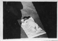 BO258