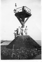 BO517