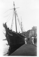 BO533
