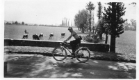 BR305