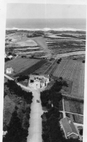BR335