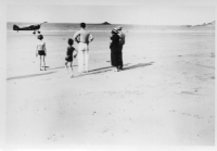 BR736