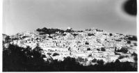 BS006