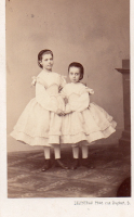 CDV7517