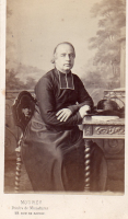 CDV8356