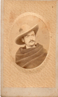 CDV8374