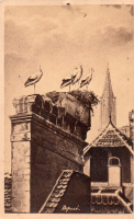 CDV8712