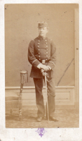 CDV8733