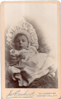 CDY0681
