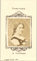 CDY0808