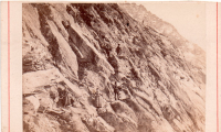 CDY3547