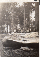 CL914