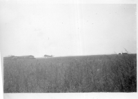 CN695