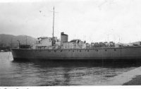 CN895