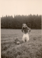 EN384