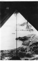 EO603