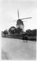 ER404