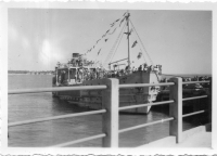 EU913