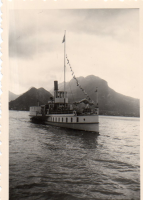 EV204