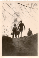 EV416
