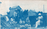 EV739