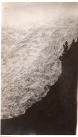 EV795