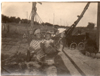 EV826