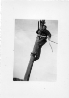 EV993