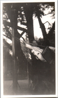 FA175