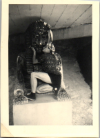 FN0662