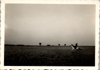 FN0885