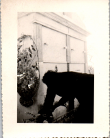 FP0011