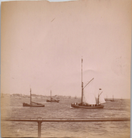 FP0498