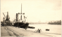 FP0881