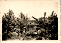 FP0930