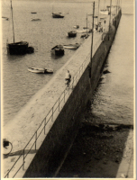 FQ0046