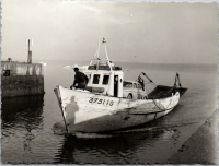 FQ0285