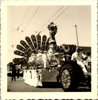 FQ0847