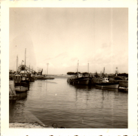FQ0851